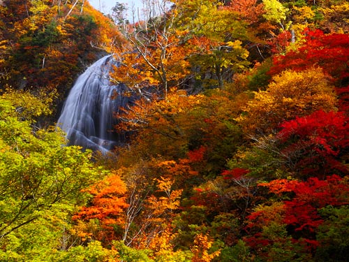 秋絢爛の安の滝