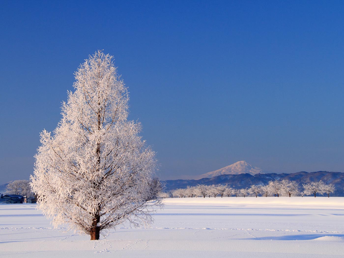 冬晴れの希有な絶景 壁紙自然派 楽天ブログ