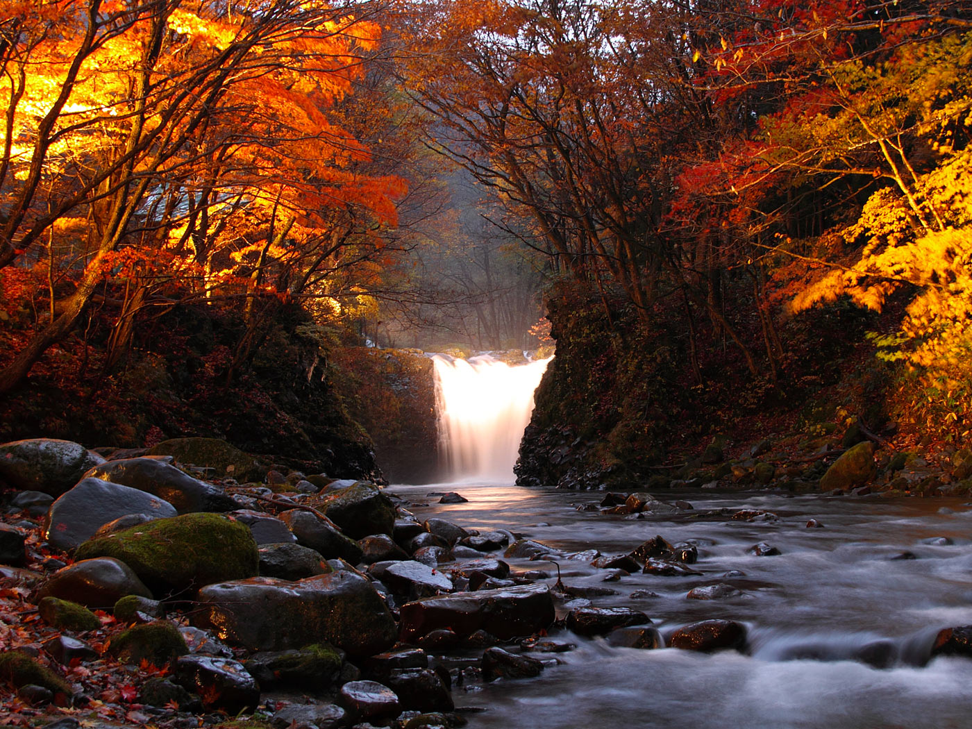 妖艶な輝きの夜の紅葉止滝 壁紙自然派 楽天ブログ