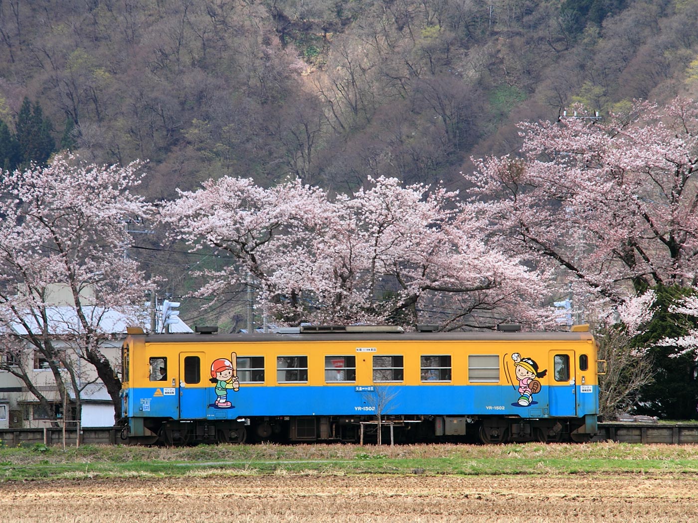 鳥海山麓ローカル線、桜風景 | 壁紙自然派 - 楽天ブログ