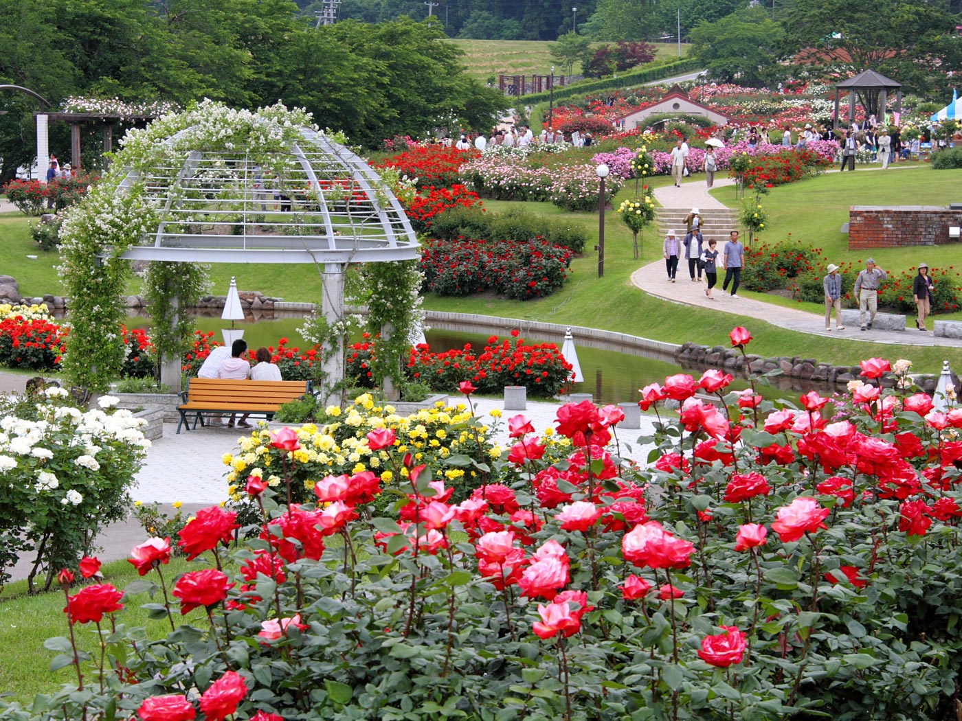 かおり風景100選の広大な東沢バラ公園 | 壁紙自然派 - 楽天ブログ